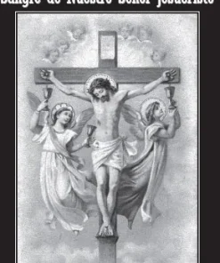 Mes dedicado a la Preciosísima Sangre de Nuestro Señor Jesucristo