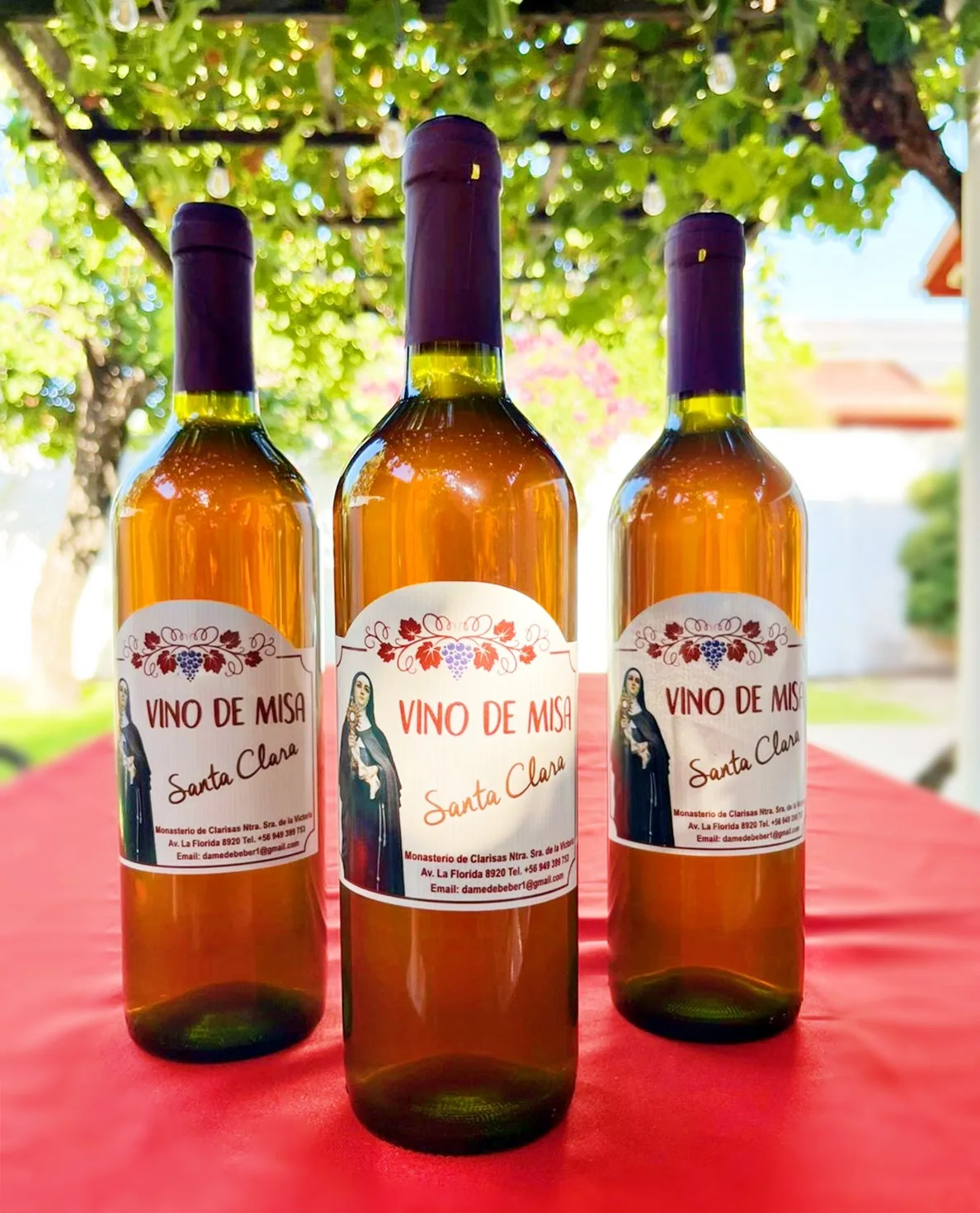 Vino de Misa Santa Clara 750cc